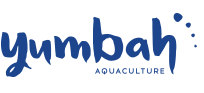 Yumbah Aquaculture blue logo
