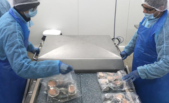Two male team members working at the Yumbah Aquaculture Central Processing Facility. They wear blue protective aprons, gowns and face masks and are vacuuming sealing bags of abalone.