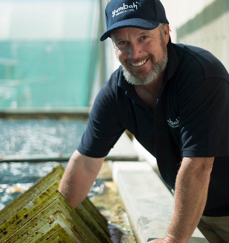 A committed Yumbah team member nurtures growing abalone at one of our ASC certified abalone farms.